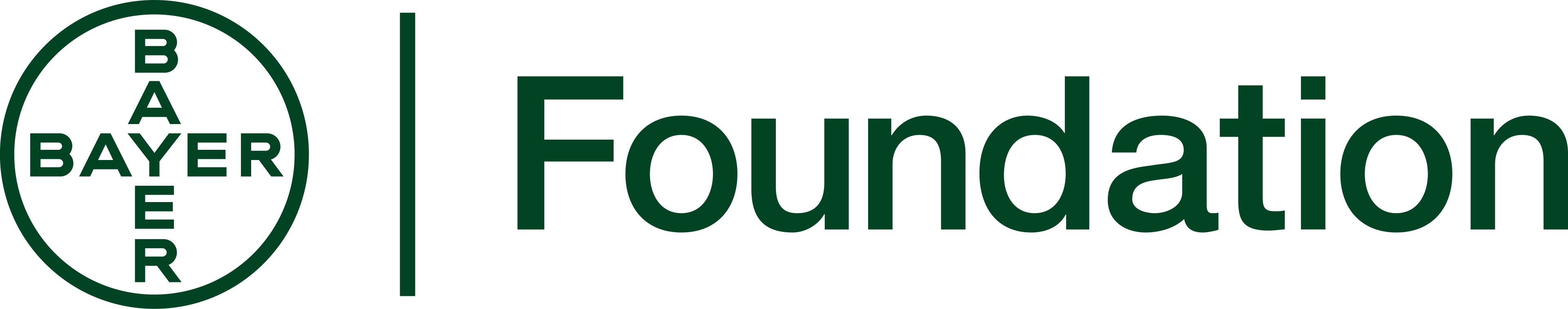 Bayer Foundation